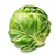 A single green brussels sprout